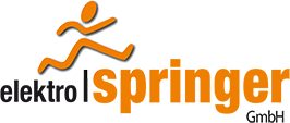 Elektro Springer GmbH Logo